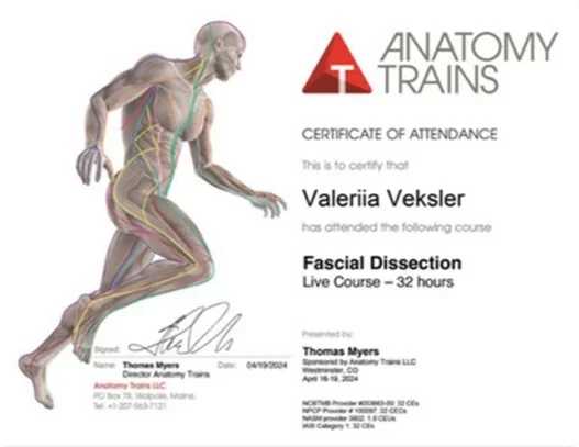 Fascial Dissection, Anatomy Trains
