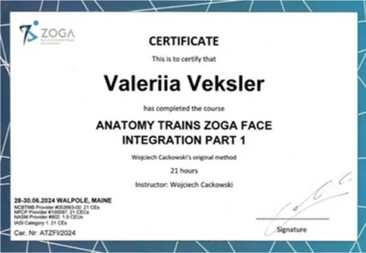 ZOGA Face Integration, Anatomy Trains